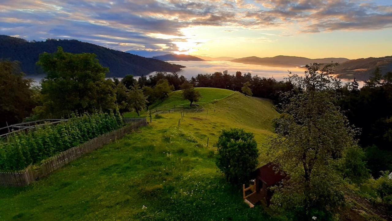 Апартаменты Healing Farm Гореня Вас Экстерьер фото